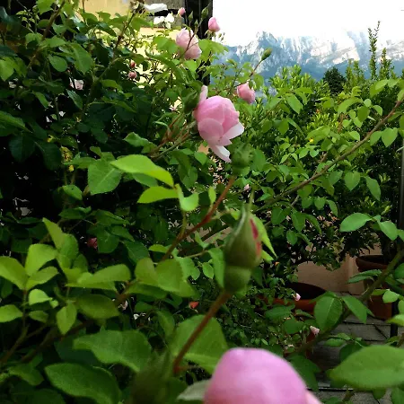 Couette-café Pescarenico Lecco