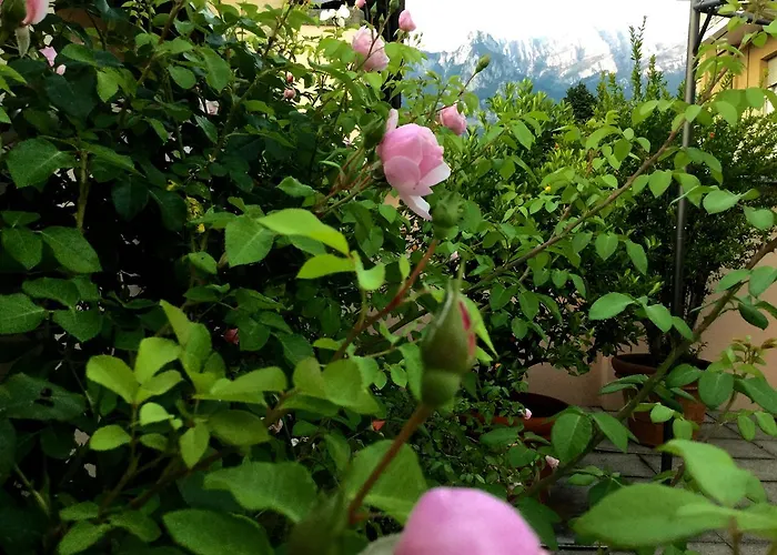 Bed & Breakfast Pescarenico Lecco