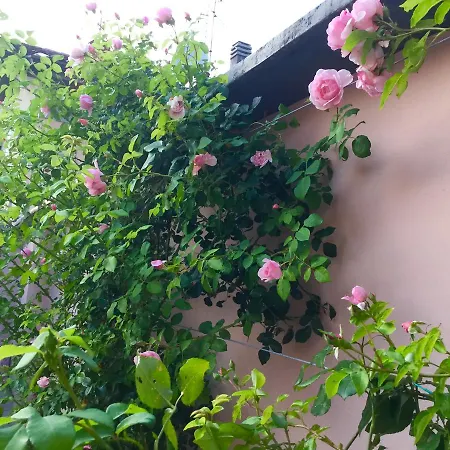 Oda ve Kahvaltı Pescarenico