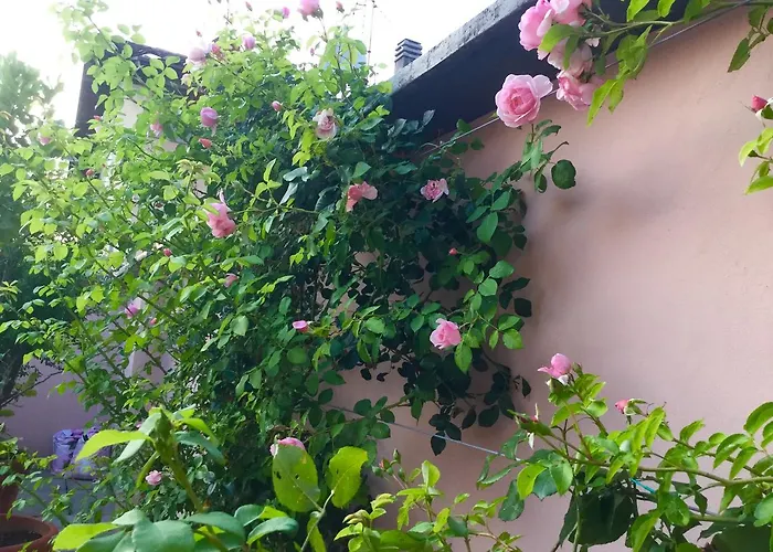 Bed & Breakfast Pescarenico